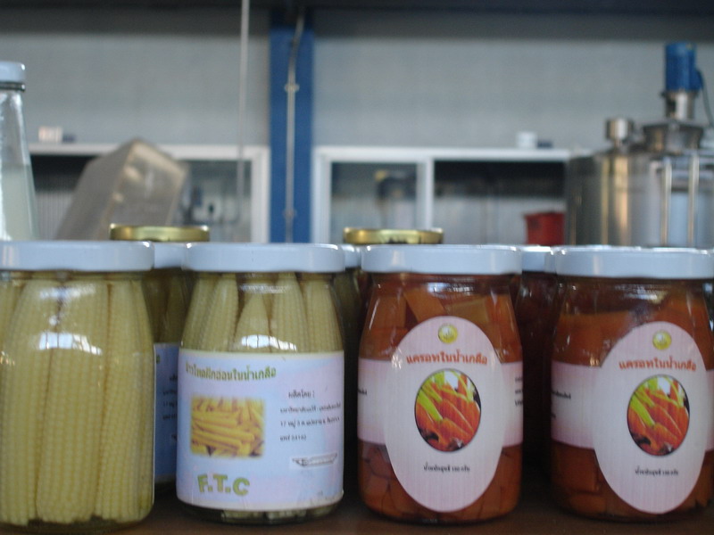 ../Picture/2552/Picture 369.jpg